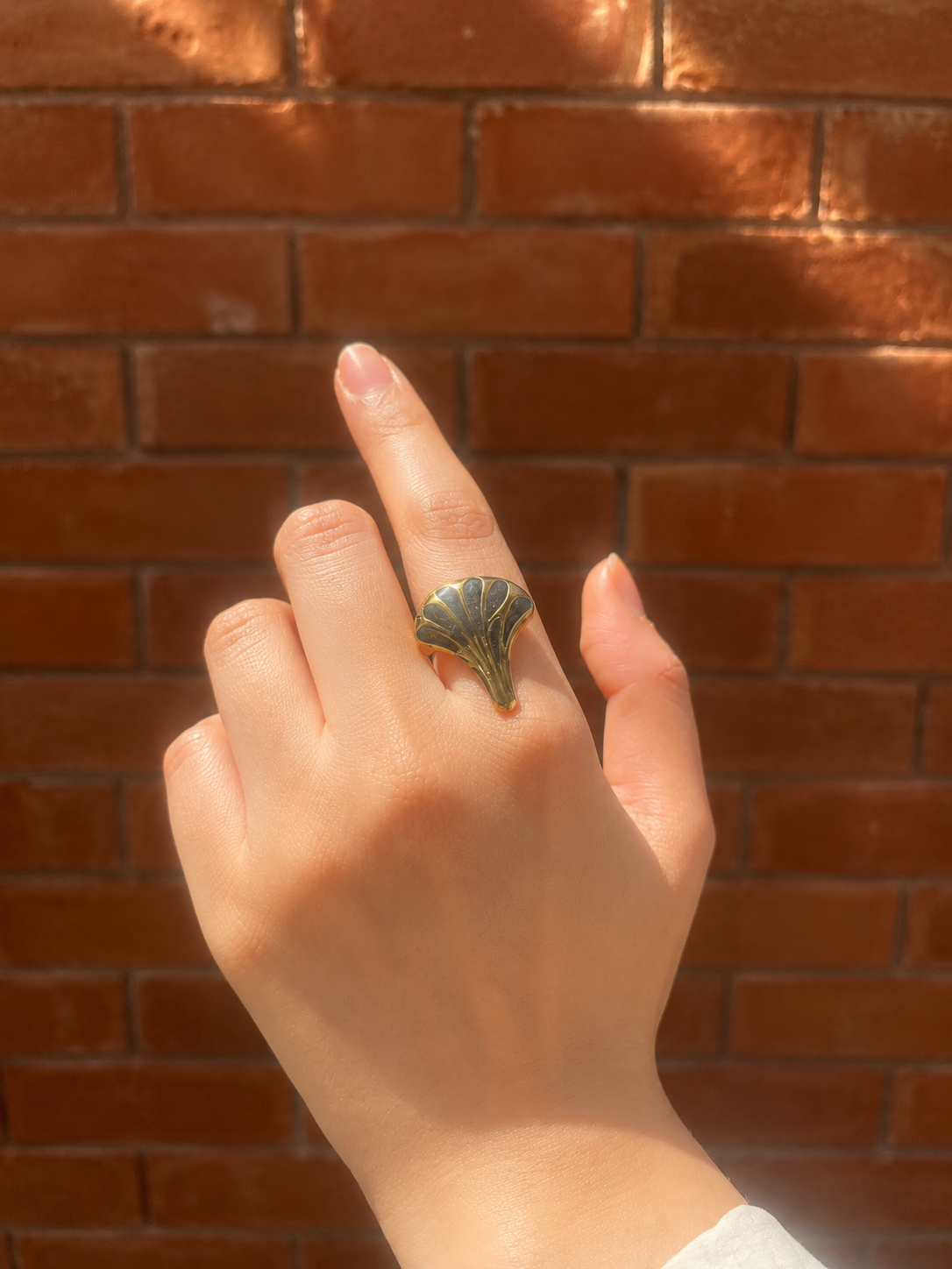 Raven Shell Ring - Stainless Steel