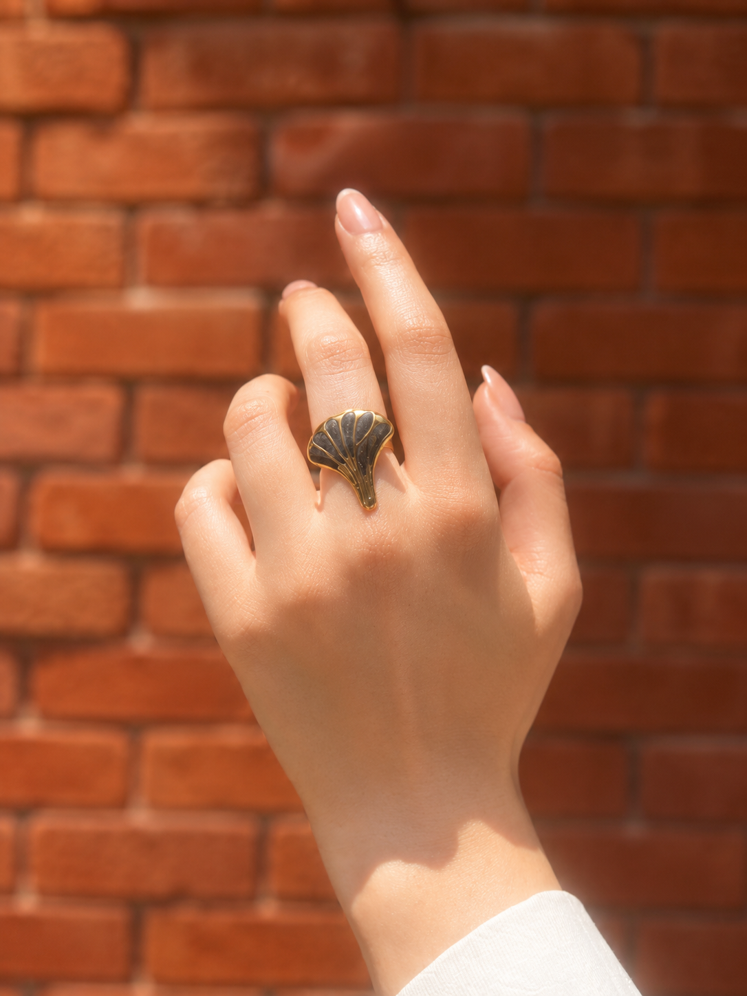 Raven Shell Ring - Stainless Steel