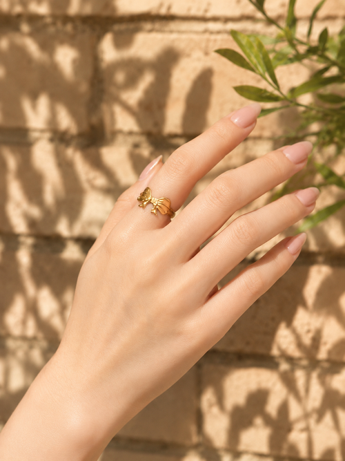 Bonita Ring - Stainless Steel